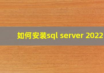 如何安装sql server 2022